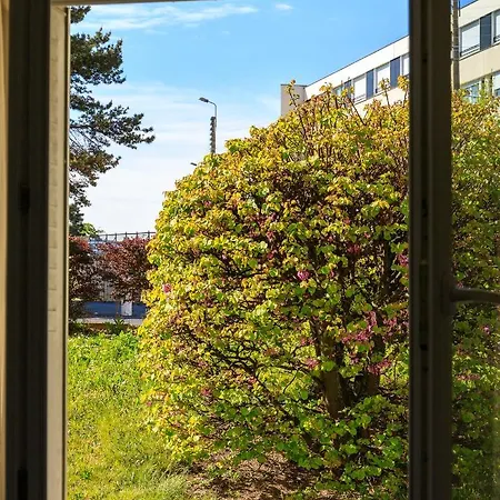 Thegreen Privee Confort Chez L'habitant Avec Bureau Tram Cezeaux Pansiyon *